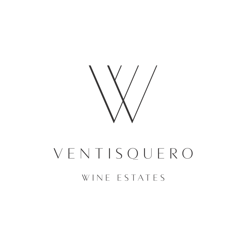 Viña Ventisquero