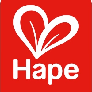Hape Toys